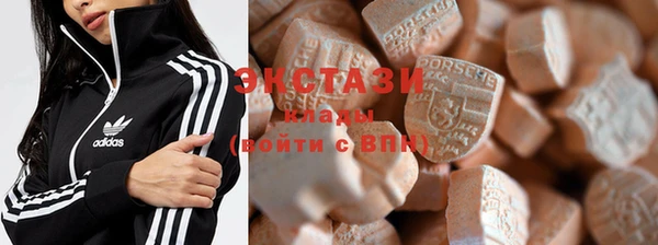 хмурый Гатчина