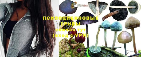 каннабис Козловка