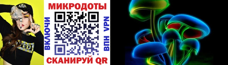 купить наркотик  Кяхта  Псилоцибиновые грибы Psilocybe 